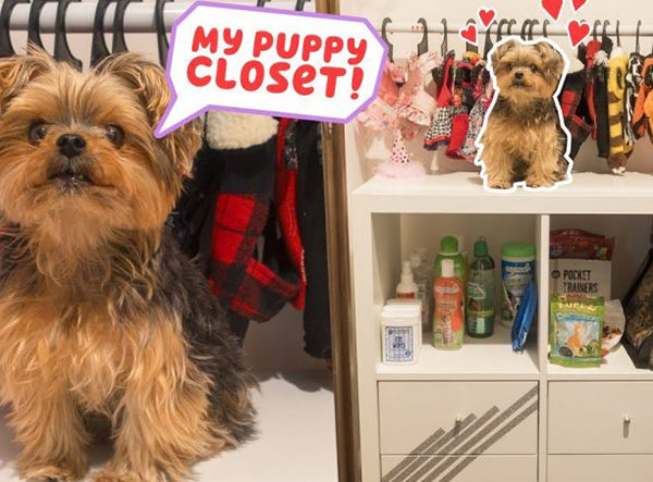 Building a Closet for Ruby