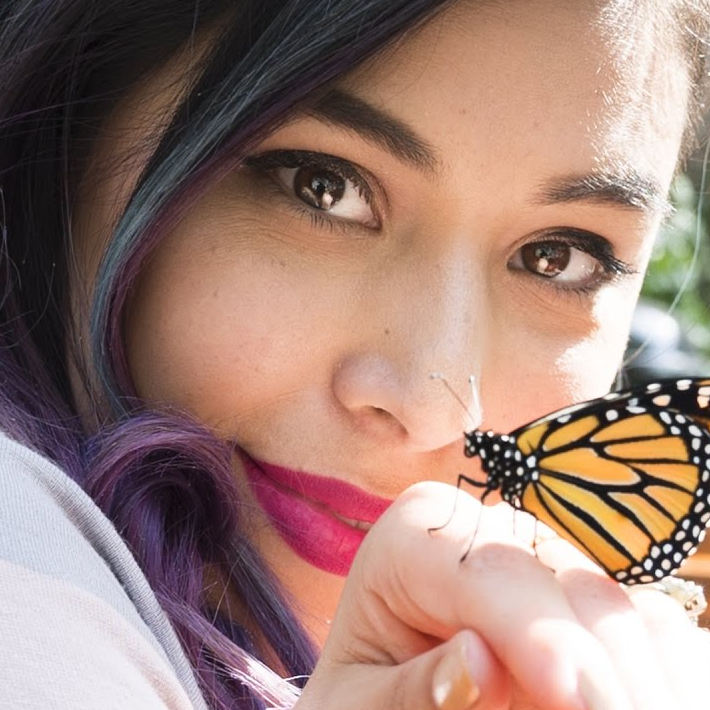 The Butterfly Effect