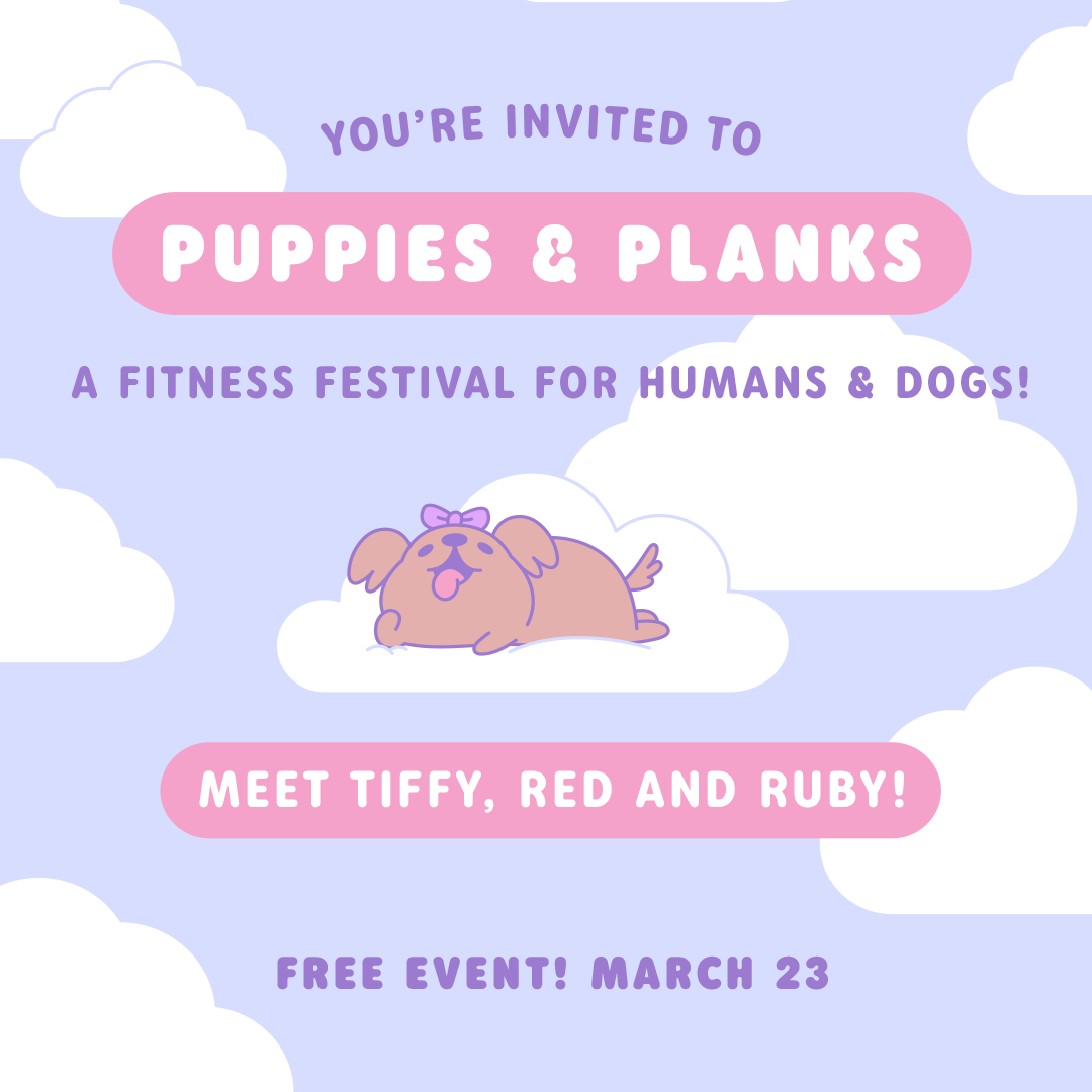 Meet Red, Ruby and I at Puppies and Planks!