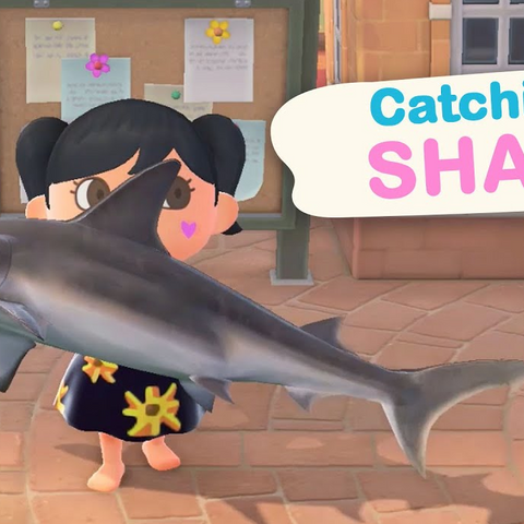 Catching a SHARK in Animal Crossing New Horizons