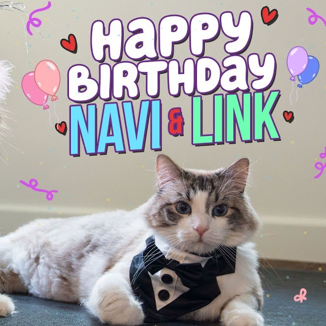 Link & Navi’s 5th Birthday