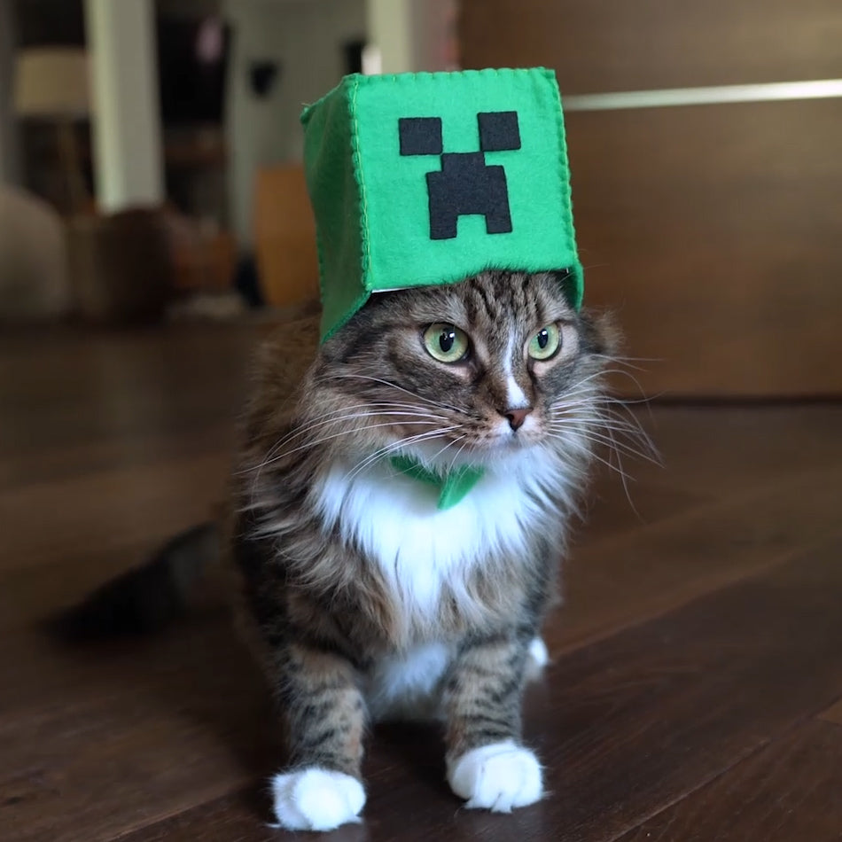 Minecraft Hats for Pets!